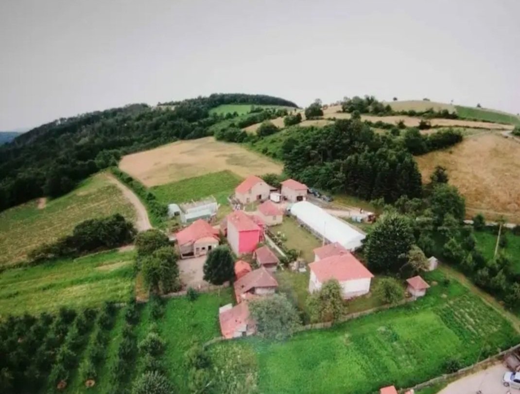 Seosko domaćinstvo u Polomu 05